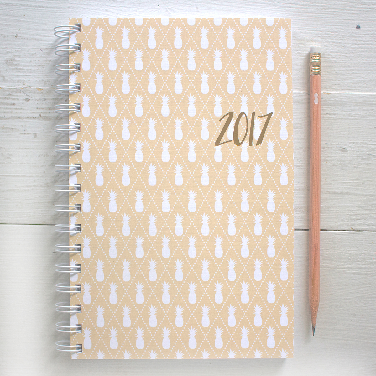 2017 weekly planner with pineapple cover